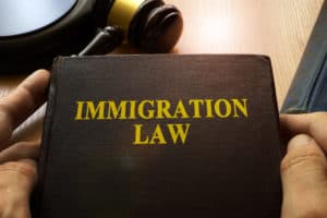 Immigration Lawyer handbook